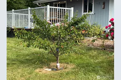 8404 Treevue, Blaine, WA 98230 - Photo 16