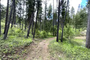 2 Hazel Ln, Republic, WA 99166 - Photo 32