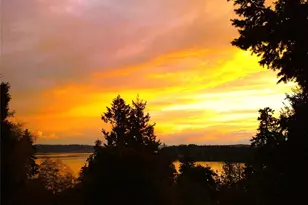 12508 Cole Point Dr, Anderson Island, WA 98303 - Photo 30