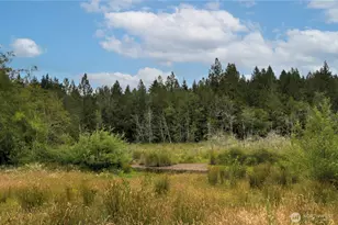 5283 SE Lynch Rd, Shelton, WA 98584 - Photo 36