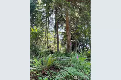 0 Twin Brooks Lane NW, Silverdale, WA 98383 - Photo 12