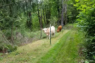 27346 Lake Cavanaugh Rd, Mount Vernon, WA 98274 - Photo 36