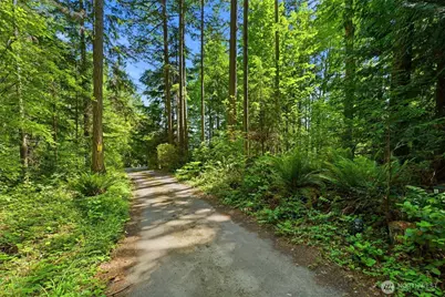 241 Gustavson Road, Quilcene, WA 98376 - Photo 38