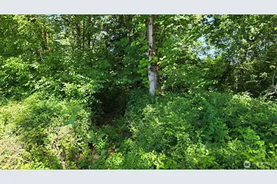 123 Mulford Road, Toledo, WA 98591 - Photo 8