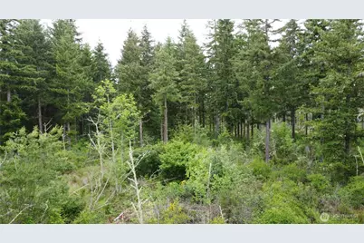 42911 28th Avenue E, Eatonville, WA 98328 - Photo 20