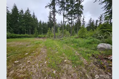 42911 28th Avenue E, Eatonville, WA 98328 - Photo 10