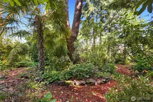 4010 SW 106th St, Seattle, WA 98146 - Photo 8