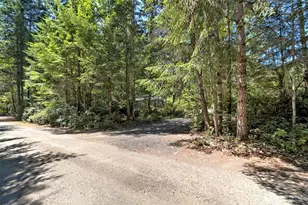80 E Tamarack Ln, Shelton, WA 98584 - Photo 18