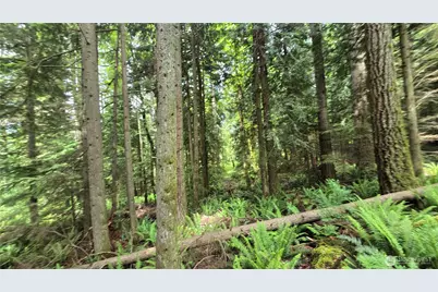 273 Xx SE 150th Street, Issaquah, WA 98027 - Photo 16