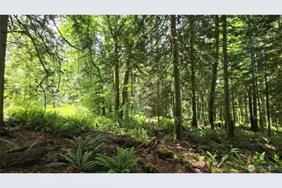 273 Xx SE 150th Street, Issaquah, WA 98027 - Photo 24