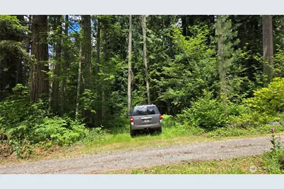 273 Xx SE 150th Street, Issaquah, WA 98027 - Photo 30