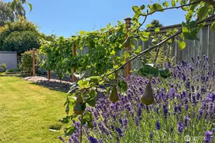 40 Cherrywood Pl, Sequim, WA 98382 - Photo 30