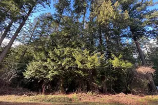 0 Lot 1 Mill Rd, Point Roberts, WA 98281 - Photo 1