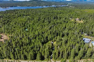 1142 Driskill Rd, Newport, WA 99156 - Photo 36
