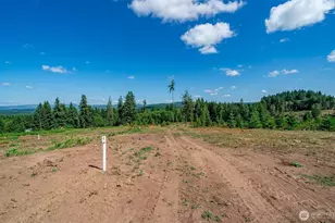 0 S Silver Lake Rd Lot 5, Castle Rock, WA 98611 - Photo 6