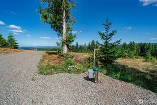 0 S Silver Lake Rd Lot 5, Castle Rock, WA 98611 - Photo 8