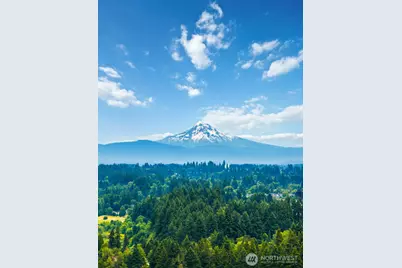 3911 NW 114th Way, Vancouver, WA 98685 - Photo 38
