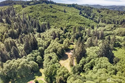 344 N Hull Creek Road, Grays River, WA 98621 - Photo 22