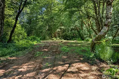 344 N Hull Creek Road, Grays River, WA 98621 - Photo 10