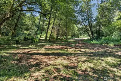 344 N Hull Creek Road, Grays River, WA 98621 - Photo 8
