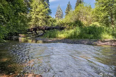 344 N Hull Creek Road, Grays River, WA 98621 - Photo 6