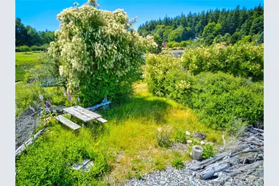 6291 Seaway Hollow Road, Anacortes, WA 98221 - Photo 4