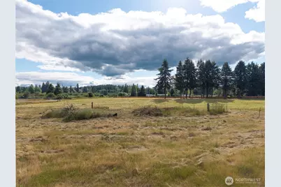 14711 State Route- 510 SE, Yelm, WA 98597 - Photo 4