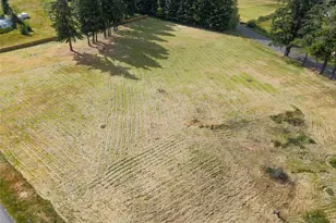 14711 State Route- 510 SE, Yelm, WA 98597 - Photo 1