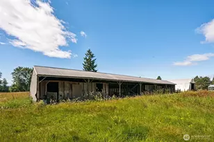 5320 State Route 702 S, Roy, WA 98580 - Photo 14