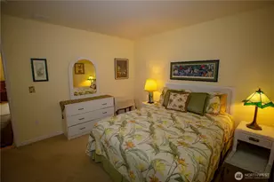 226 Hurricane Ridge Dr, Sequim, WA 98382 - Photo 18