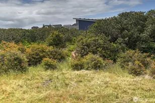 1205 Fairwood Ct St SW, Ocean Shores, WA 98569 - Photo 34