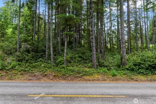 4611 E Rasor Road W, Belfair, WA 98528 - Photo 1