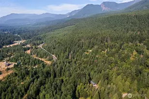 133 A Hinkle Tinkle Ln, Packwood, WA 98361 - Photo 28
