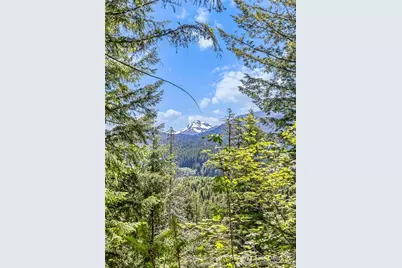 133 A Hinkle Tinkle Lane, Packwood, WA 98361 - Photo 16