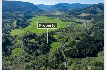0 Davis Lake Road, Morton, WA 98356 - Photo 4