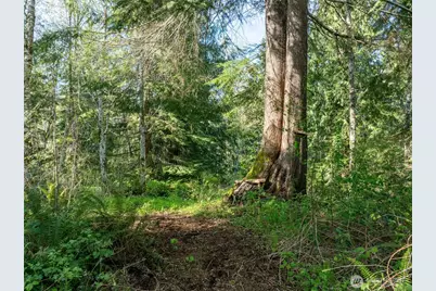 0 Davis Lake Road, Morton, WA 98356 - Photo 18