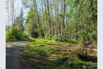 0 Davis Lake Road, Morton, WA 98356 - Photo 16