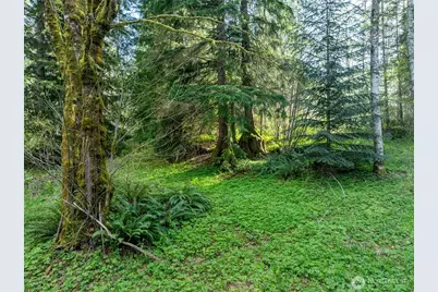 0 Davis Lake Road, Morton, WA 98356 - Photo 22