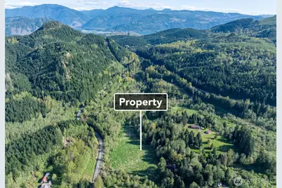 0 Davis Lake Road, Morton, WA 98356 - Photo 6