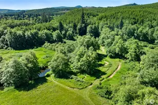 1904 N River Rd, Cosmopolis, WA 98537 - Photo 28