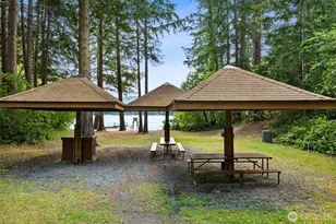 21715 N Clear Lake Blvd SE, Yelm, WA 98597 - Photo 24
