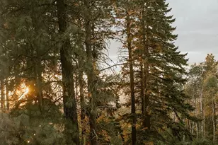 41 Bull Elk Rd, Cle Elum, WA 98922 - Photo 40