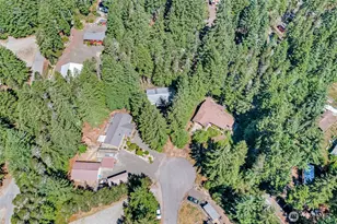 81 N Buckhorn Ct, Hoodsport, WA 98548 - Photo 24