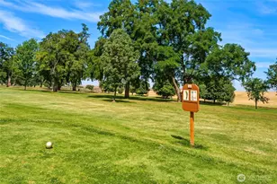 1131 Ava St, Walla Walla, WA 99362 - Photo 30