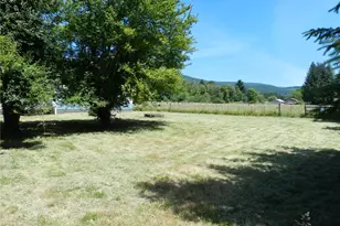 146 Damron Rd, Mossyrock, WA 98564 - Photo 6
