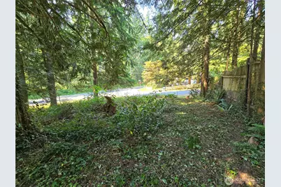 27703 NE 35th Street NE, Redmond, WA 98053 - Photo 12