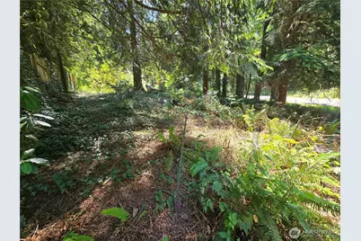 27703 NE 35th Street NE, Redmond, WA 98053 - Photo 18