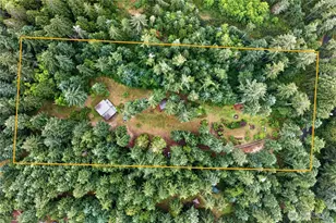 9615 Otso Point Rd, Anderson Island, WA 98303 - Photo 4