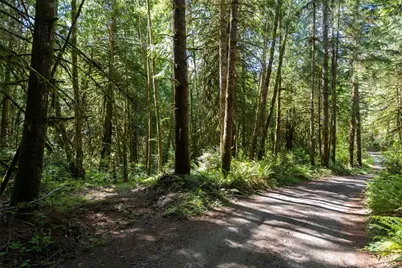 1781 E Sunset Hill Road, Shelton, WA 98584 - Photo 2