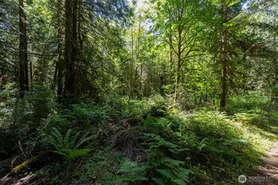 1781 E Sunset Hill Road, Shelton, WA 98584 - Photo 4